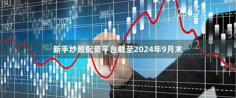 新手炒股配资平台截至2024年9月末