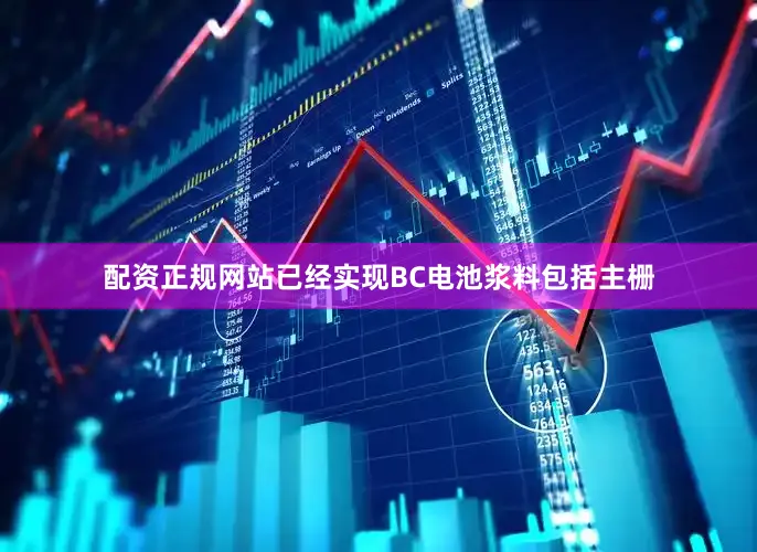 配资正规网站已经实现BC电池浆料包括主栅