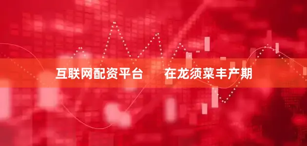 互联网配资平台      在龙须菜丰产期