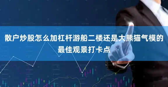 散户炒股怎么加杠杆游船二楼还是大熊猫气模的最佳观景打卡点