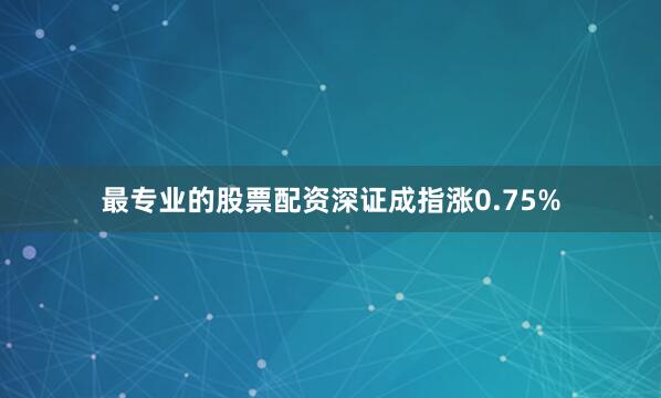 最专业的股票配资深证成指涨0.75%